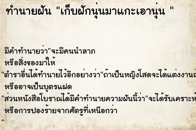 ทำนายฝัน เก็บฝักนุ่นมาแกะเอานุ่น 